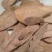 中药材/中药根茎类/锁阳/秋冬季锁阳片，长期有货