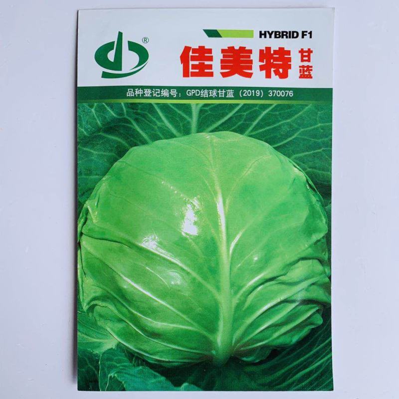 结球甘蓝种子佳美特春秋型甘蓝包菜种子耐裂翠绿色莲花白种