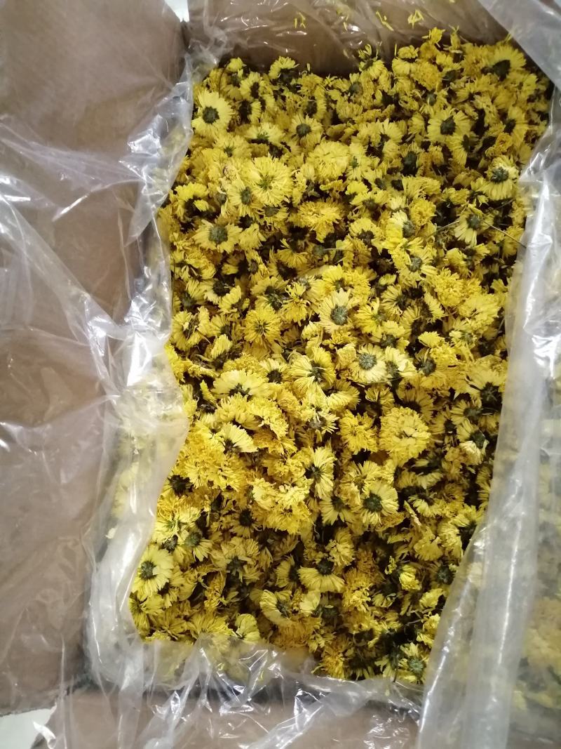 【产地直供】烘干过的菊花，花茶黄菊茶