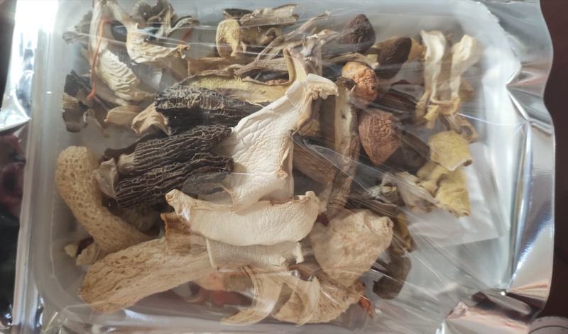 野生菌汤包云南特产菌菇荟萃净重100克加送25克