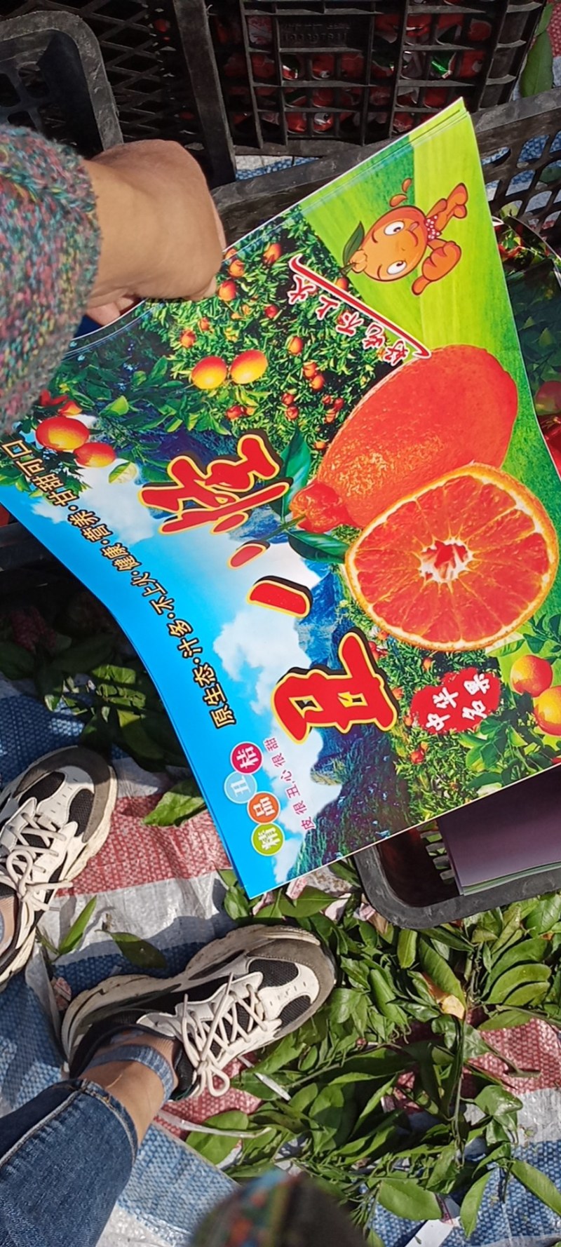 丑八怪好吃不上火，颜色发红了