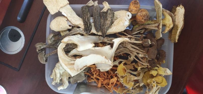 野生菌汤包云南特产菌菇荟萃净重100克加送25克