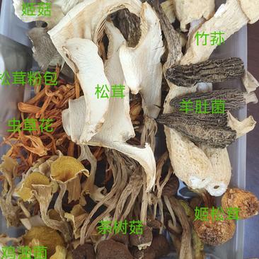 野生菌汤包云南特产菌菇荟萃净重100克加送25克