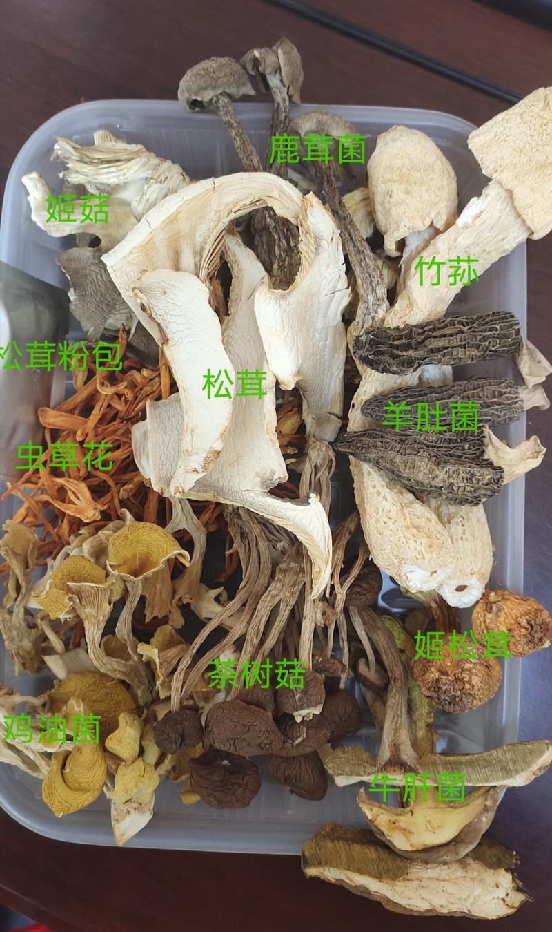 野生菌汤包云南特产菌菇荟萃净重100克加送25克