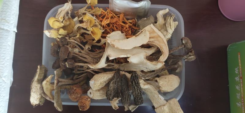 野生菌汤包云南特产菌菇荟萃净重100克加送25克