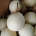河北鸭梨质量好，价格合理，果面干净，口感细腻脆甜！