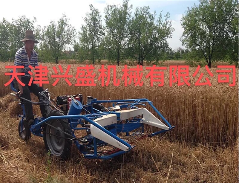 小麦浦草芦苇玉米秸秆收割打捆一体机全自动机械割捆机