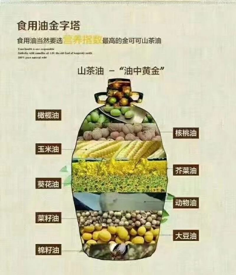 野生山茶油，纯物理压榨，出油量少，一年一季