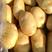长沙海吉星农产品物流园果之友冷库，供应丽薯六号土豆