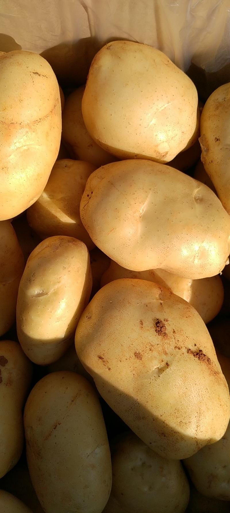 长沙海吉星农产品物流园果之友冷库，供应丽薯六号土豆