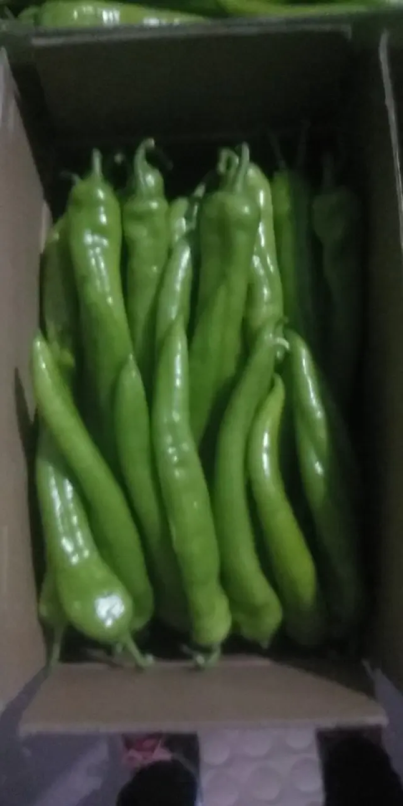 【鲜辣椒】原产地直供精品尖椒上市货源足量大从优