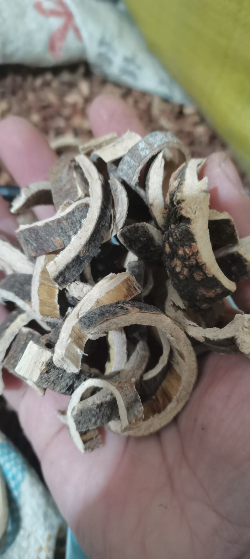 合欢皮合欢皮厚皮各种中药材一公斤起批