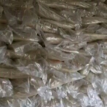 河北红薯粉条厂家直发，质量保证，规格齐全可视频看货