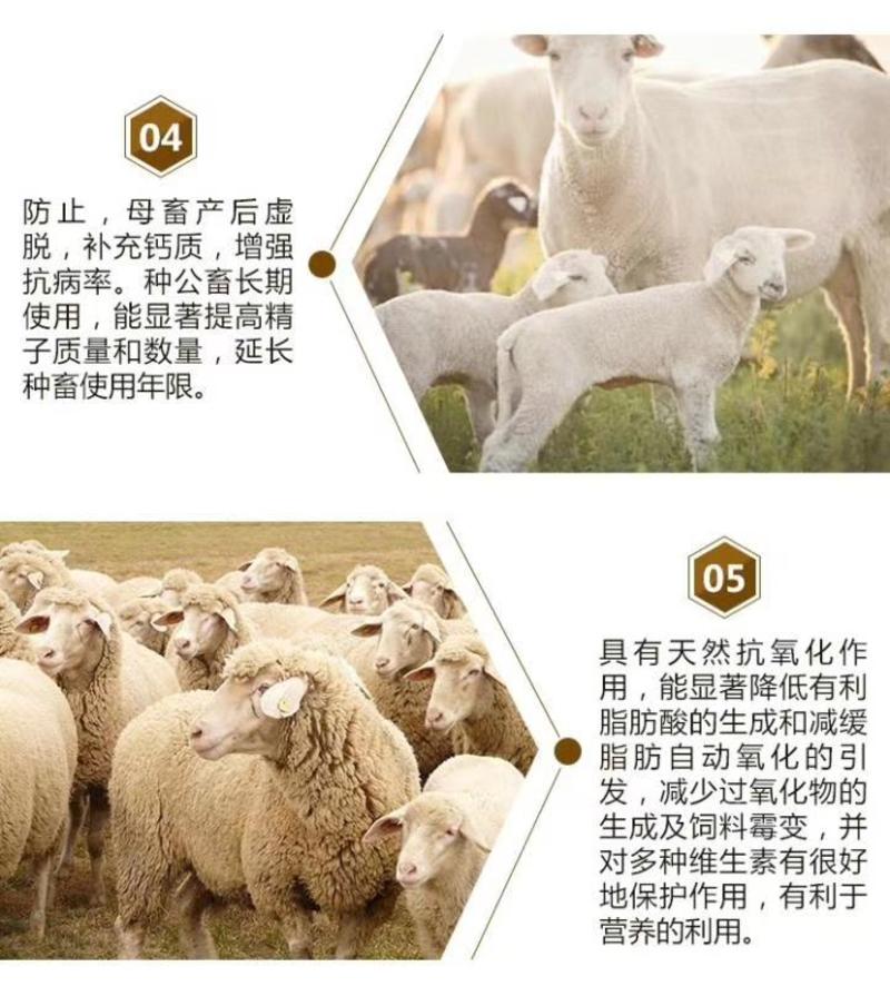 牛羊专用催肥强瘤胃助生长提高料肉比