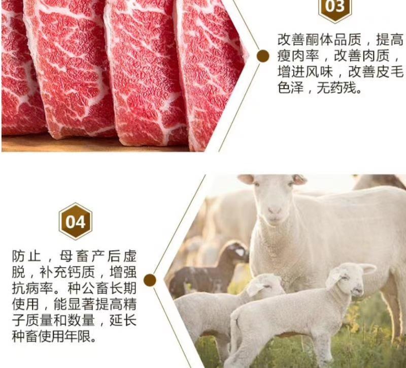 牛羊专用催肥强瘤胃助生长提高料肉比