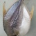 深海金鲳鱼干腊鱼干广东阳江日晒鱼干