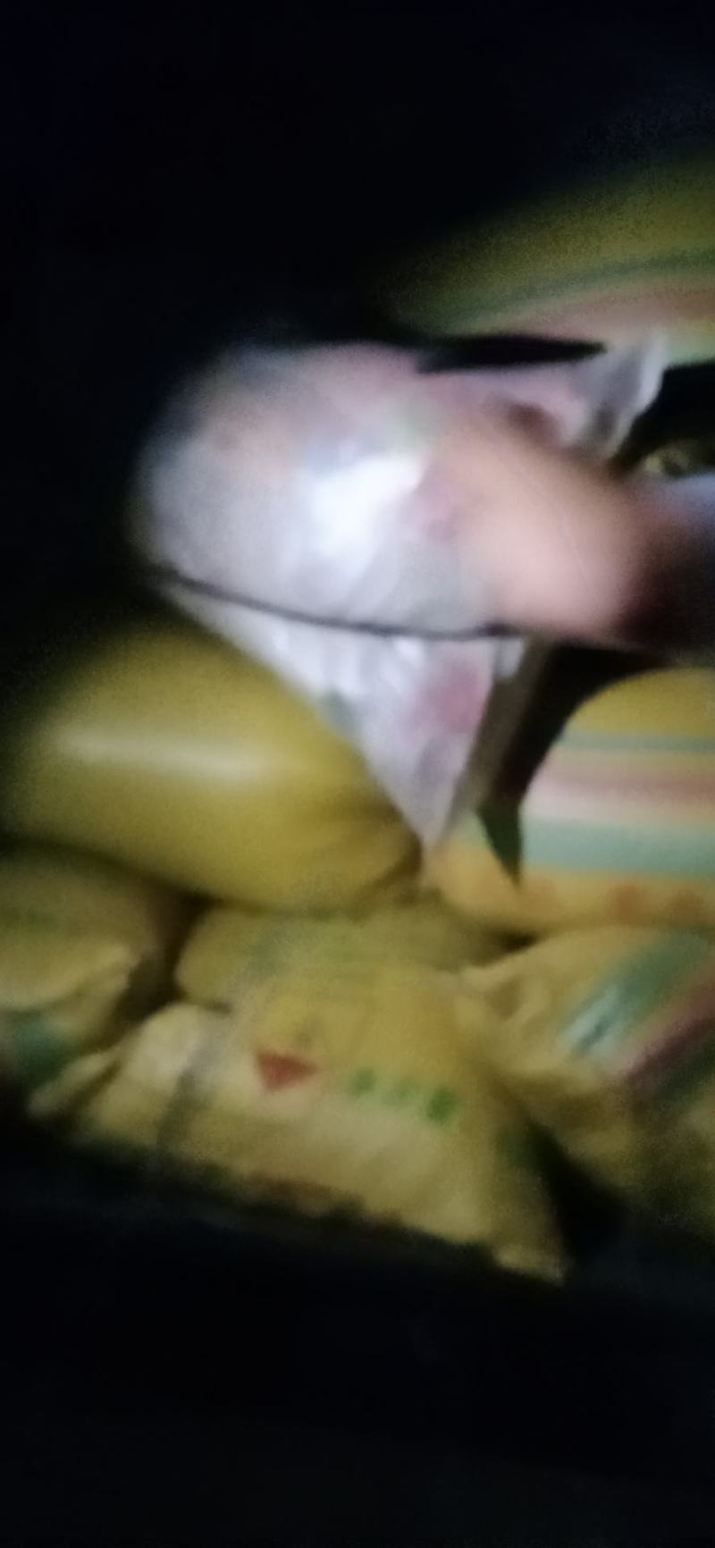 土薏仁贵州带壳土薏仁