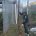 云南德宏野生精品山木香桩