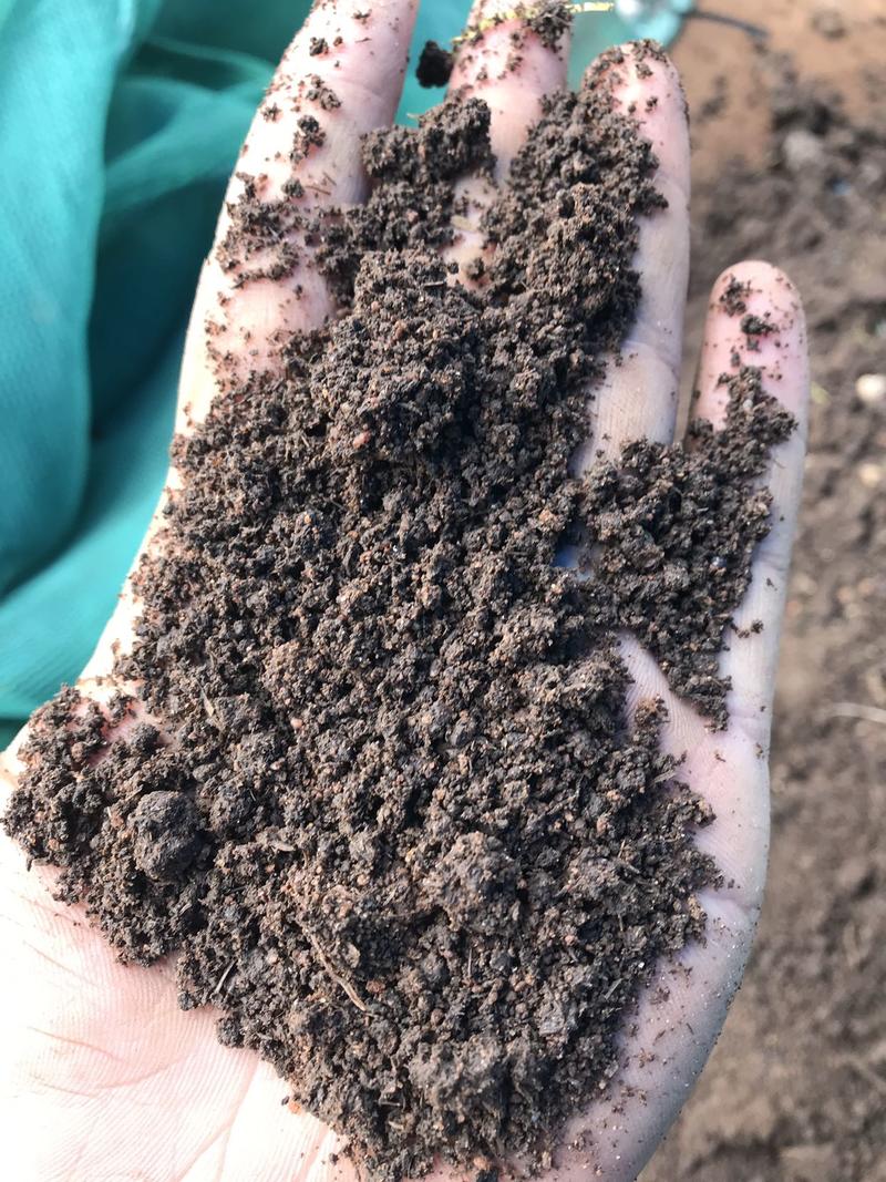 蚯蚓有机肥，有机质含量高，改善土壤板结，低价格，适合作物