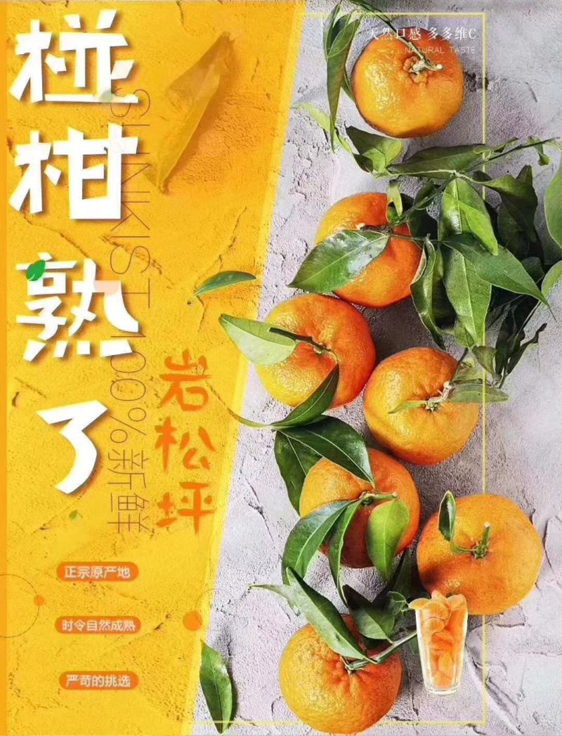湖北宜昌长阳县渔峡口岩松坪椪柑清江椪柑全国包邮包邮