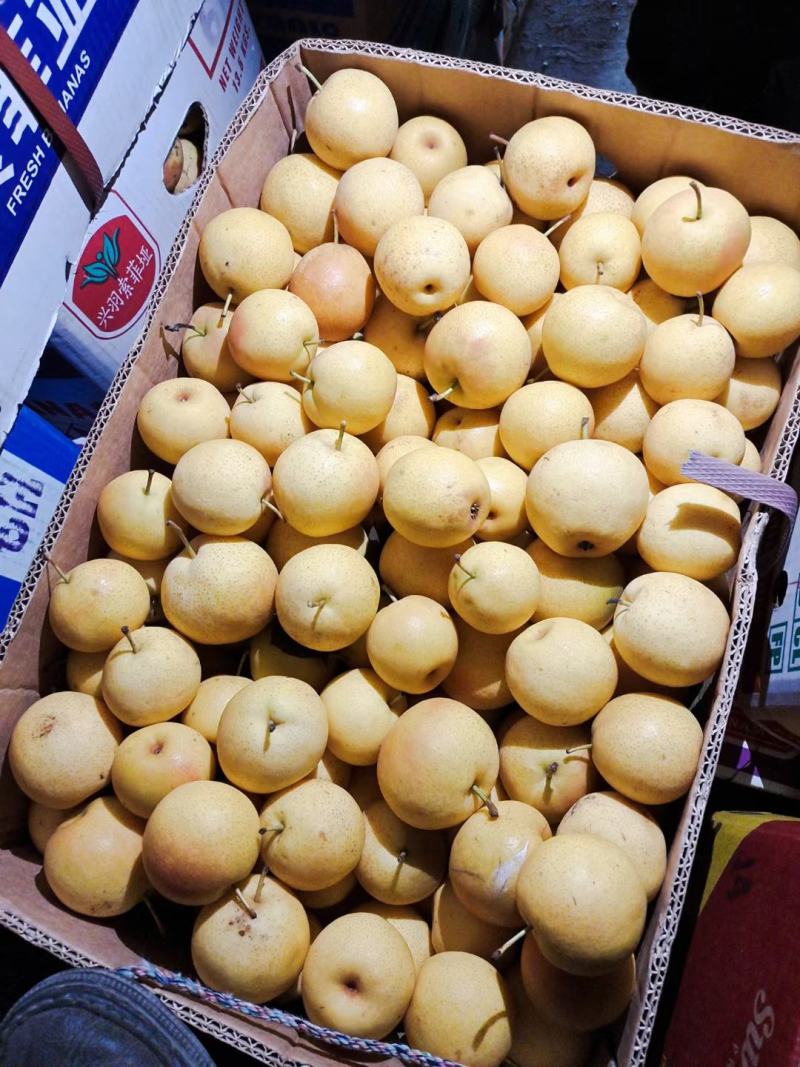 精品梨20多一箱