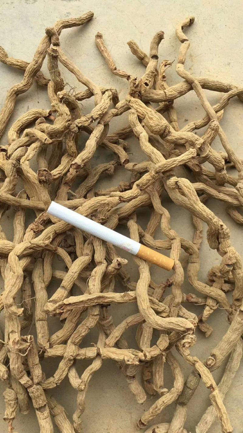 种植巴戟天大圆条干货煲汤好材料