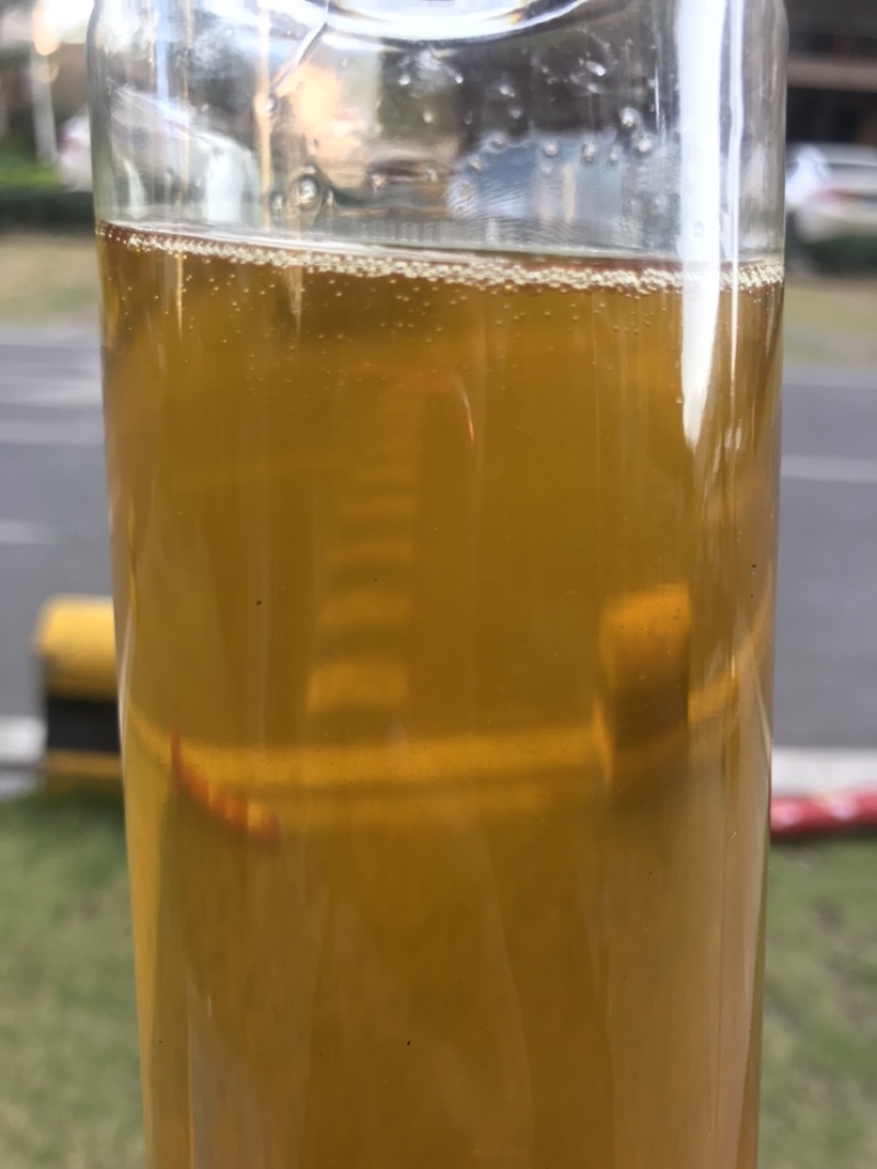 茶油粤北野生茶油茶籽油