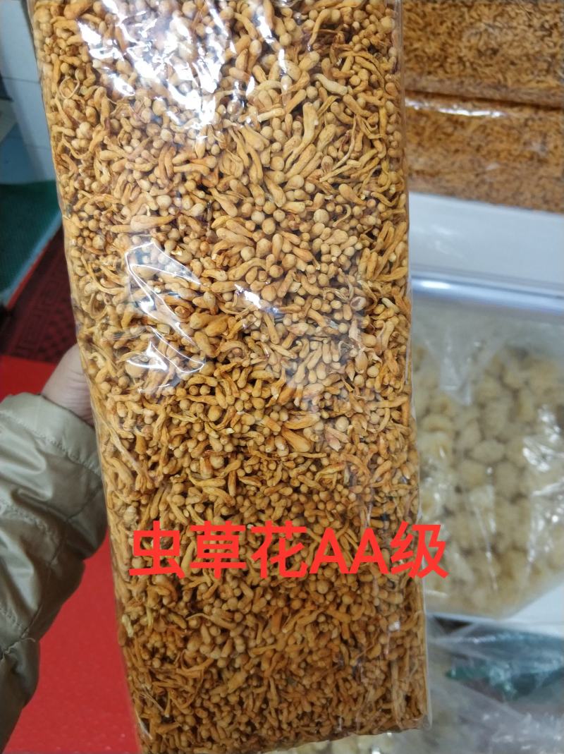 精品山珍鹿茸菇姬松茸虫草花天然本色手工挑选