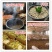 新鲜稻壳谷壳种花养草保健枕头防震填充材料苏北特产
