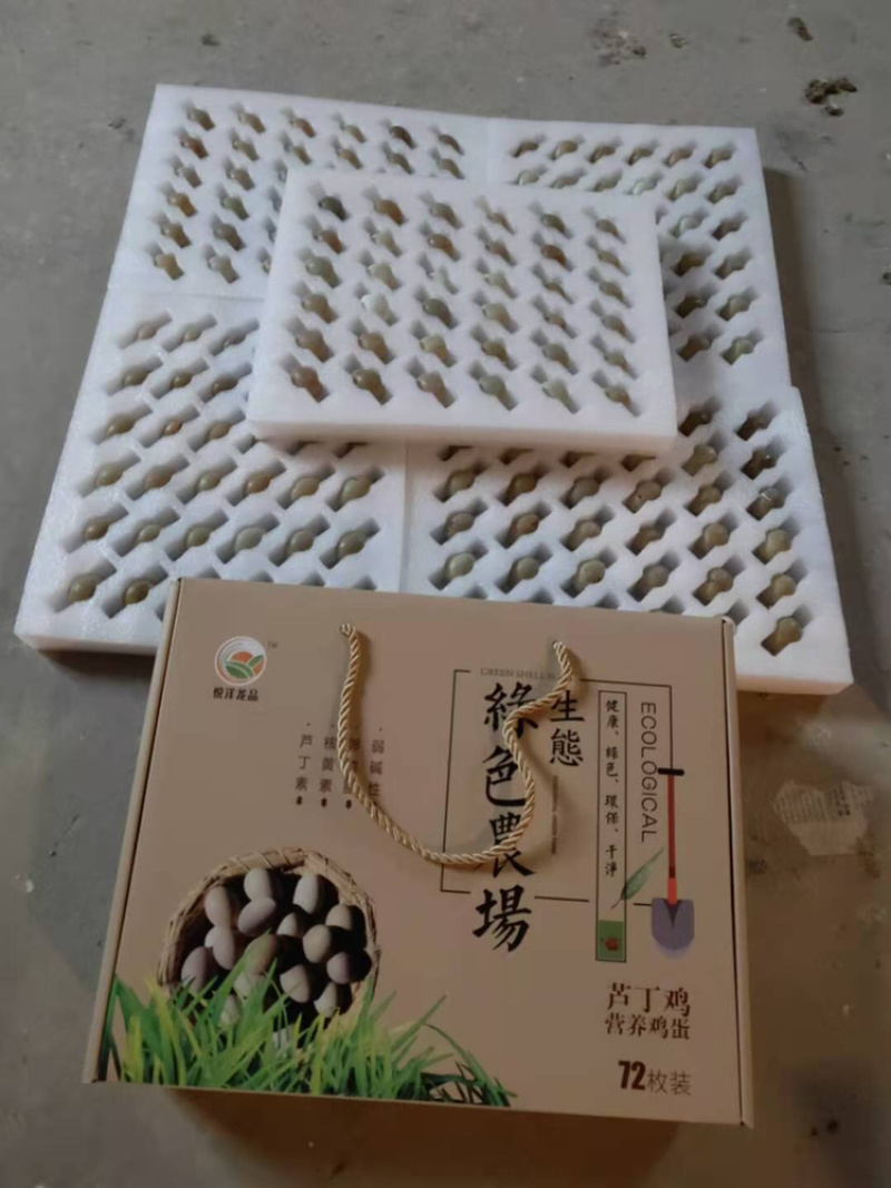 芦丁鸡种蛋，孵化率高，成活率高，快递发货