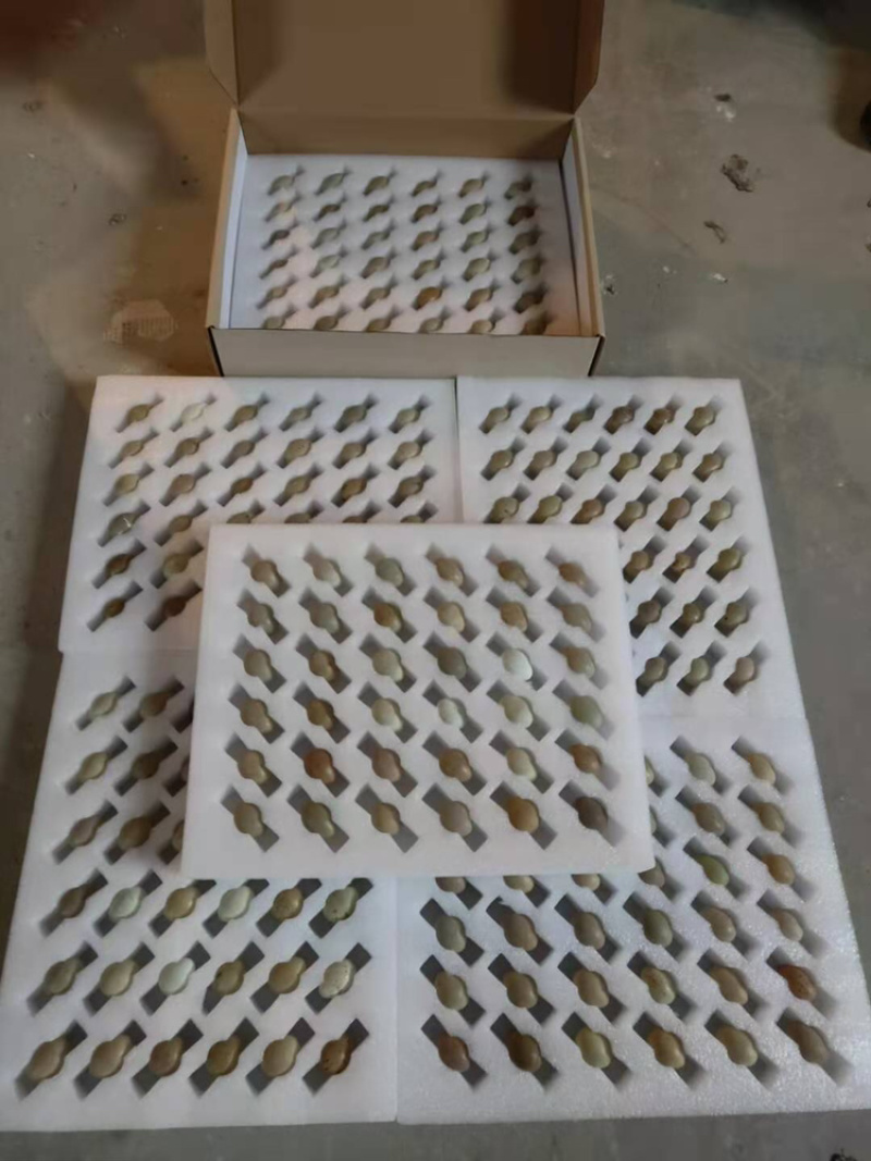 芦丁鸡种蛋，孵化率高，成活率高，快递发货