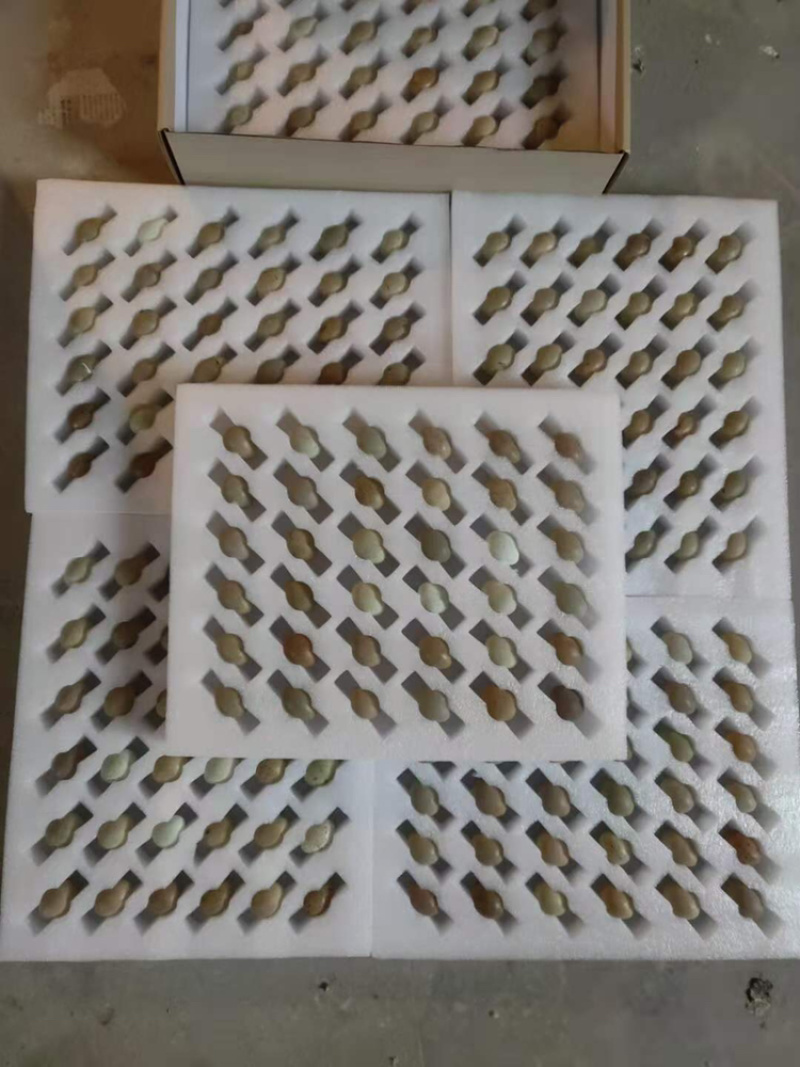 芦丁鸡种蛋，孵化率高，成活率高，快递发货