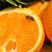 甜橙，万亩甜橙基地直发，无中间商，产地长期大量精品橙供应