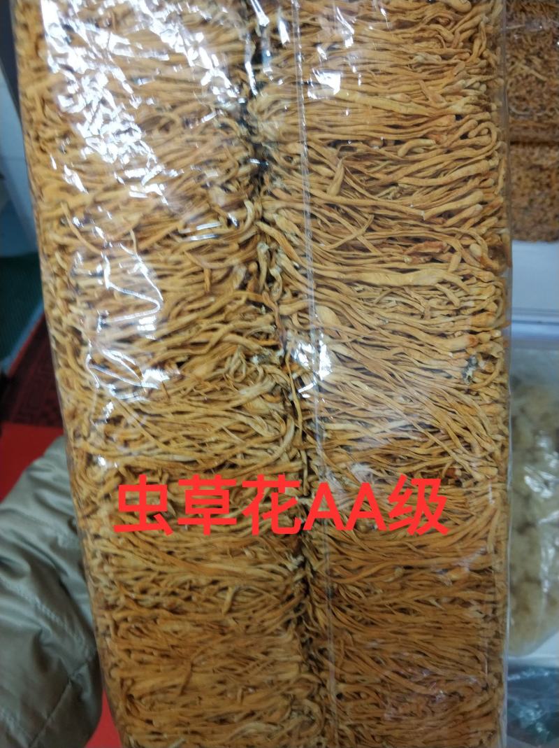 精品山珍虫草花天然本色无添加人工手选