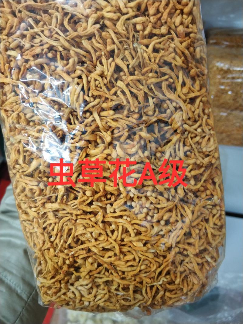精品山珍虫草花天然本色无添加人工手选