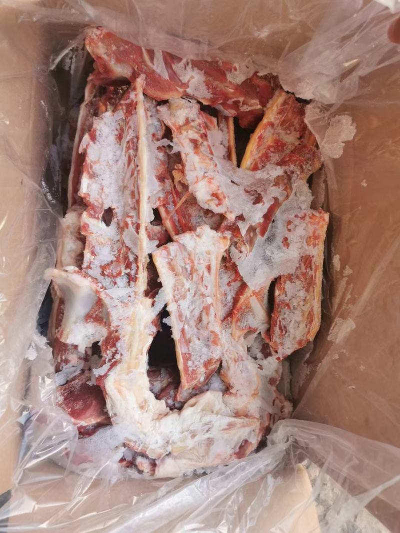 锡林浩特本地羊龙骨肉大好吃还不贵《厂家直销》