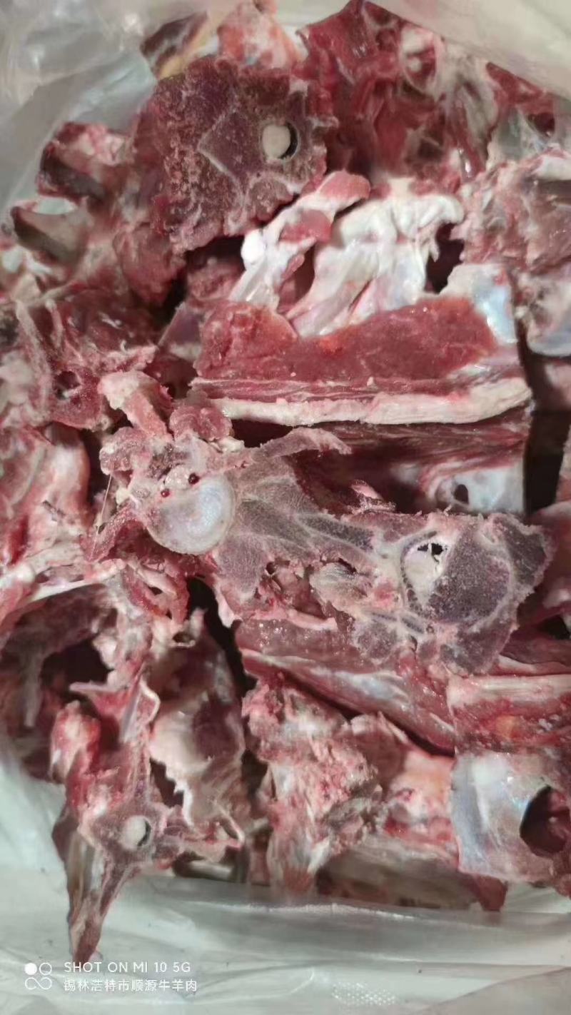 锡林浩特本地羊龙骨肉大好吃还不贵《厂家直销》