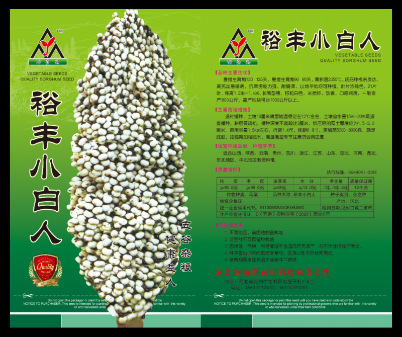 矮杆白粱种子，高产抗病高粱种子
