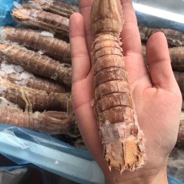 熟冻带壳皮皮虾5斤装批发