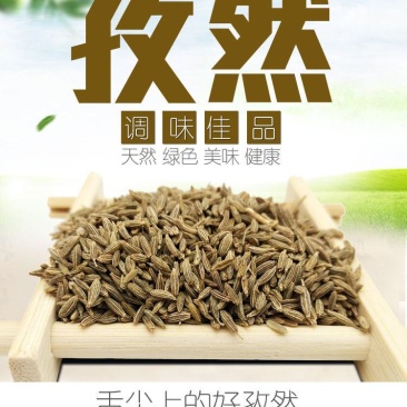 孜然新疆孜然新标孜然欧标孜然印尼孜然整件批发