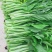 白菜苔白菜芯菜苔产地直销一手货源全国支持发货欢迎合作