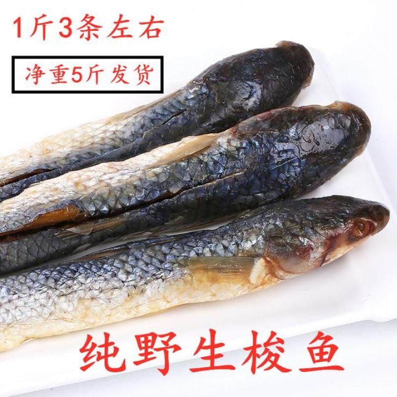 山东咸梭鱼老盐腌制！泡泡以后蒸煎炸都好吃大量现货供应