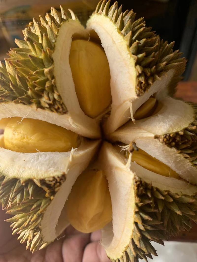 泰国甲仑欢迎订购电商商超