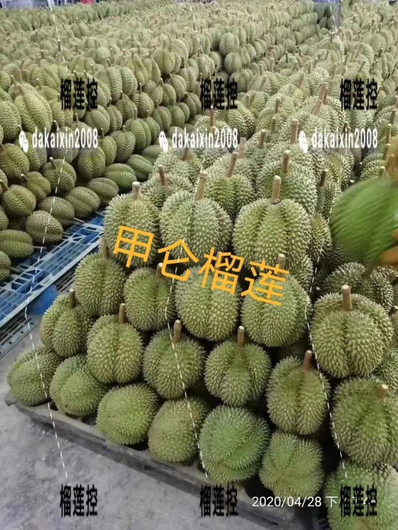 泰国甲仑欢迎订购电商商超