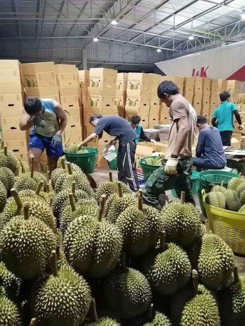 泰国甲仑欢迎订购电商商超