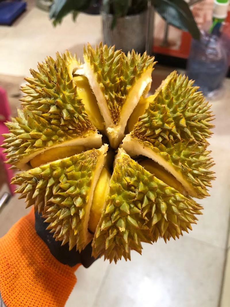 泰国甲仑欢迎订购电商商超