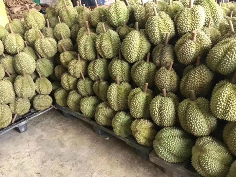 泰国甲仑欢迎订购电商商超