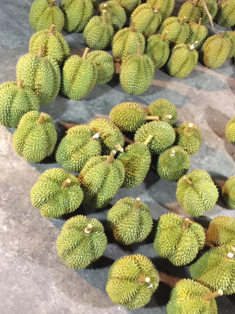 泰国甲仑欢迎订购电商商超