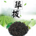 荜拨中毕拨批发调料筚菝荜波量大从优