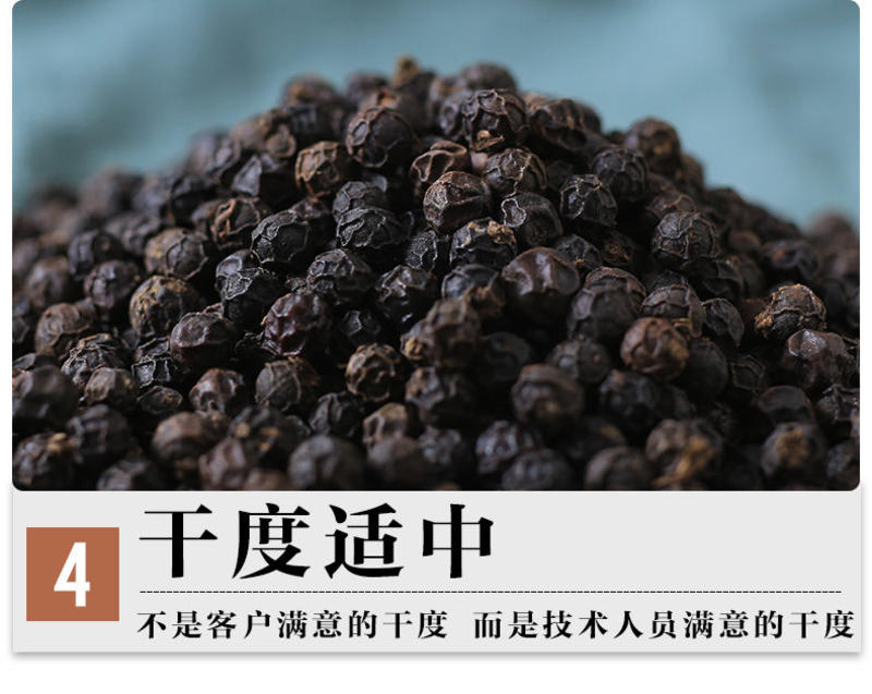 黑胡椒厂家供应批发越南黑胡椒50kg量大价更优